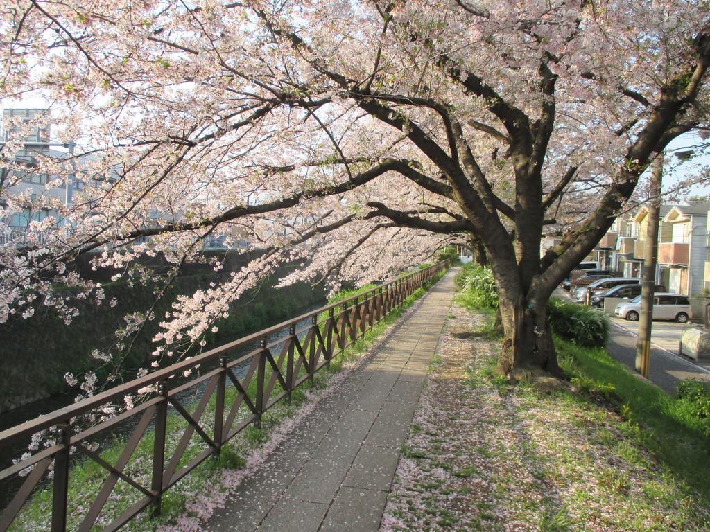 京都市エステイト東久 西京極アパートメント エクステリア 写真