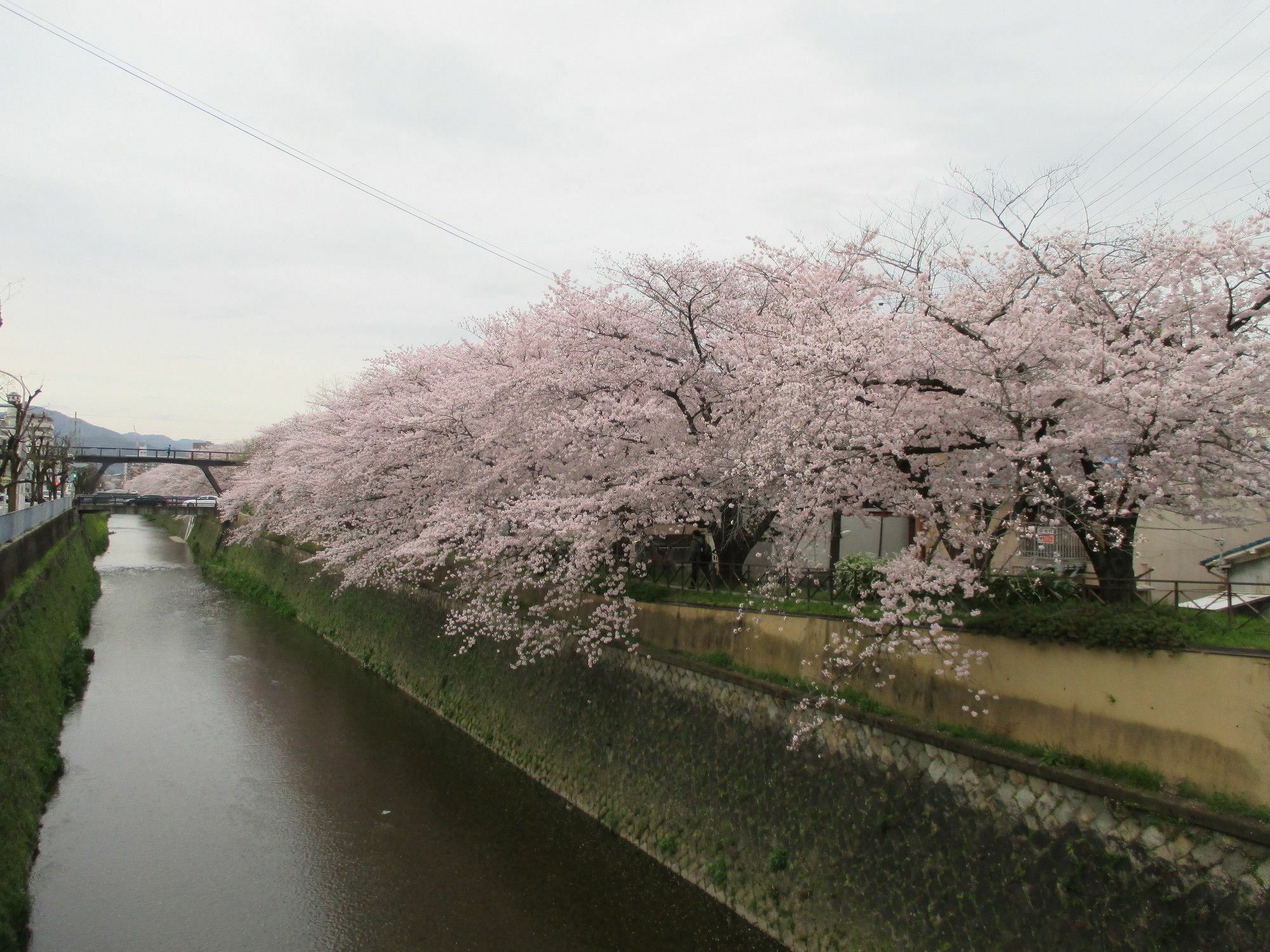 京都市エステイト東久 西京極アパートメント エクステリア 写真