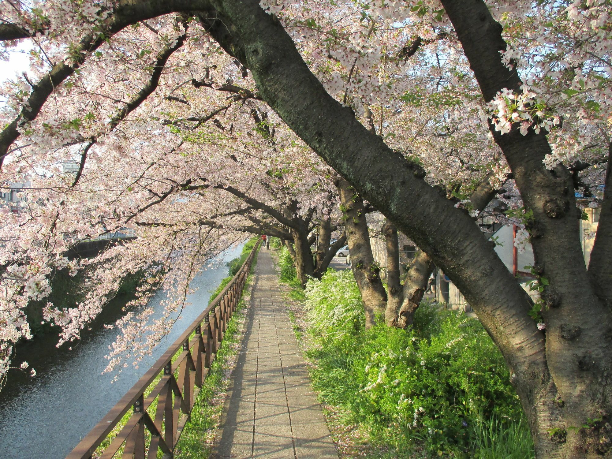 京都市エステイト東久 西京極アパートメント エクステリア 写真